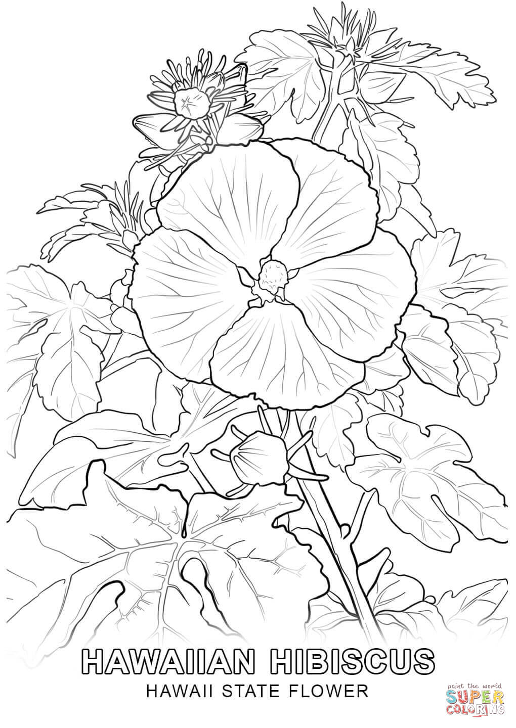 free-coloring-pages-of-hawaiian-flowers-download-free-coloring-pages-of-hawaiian-flowers-png