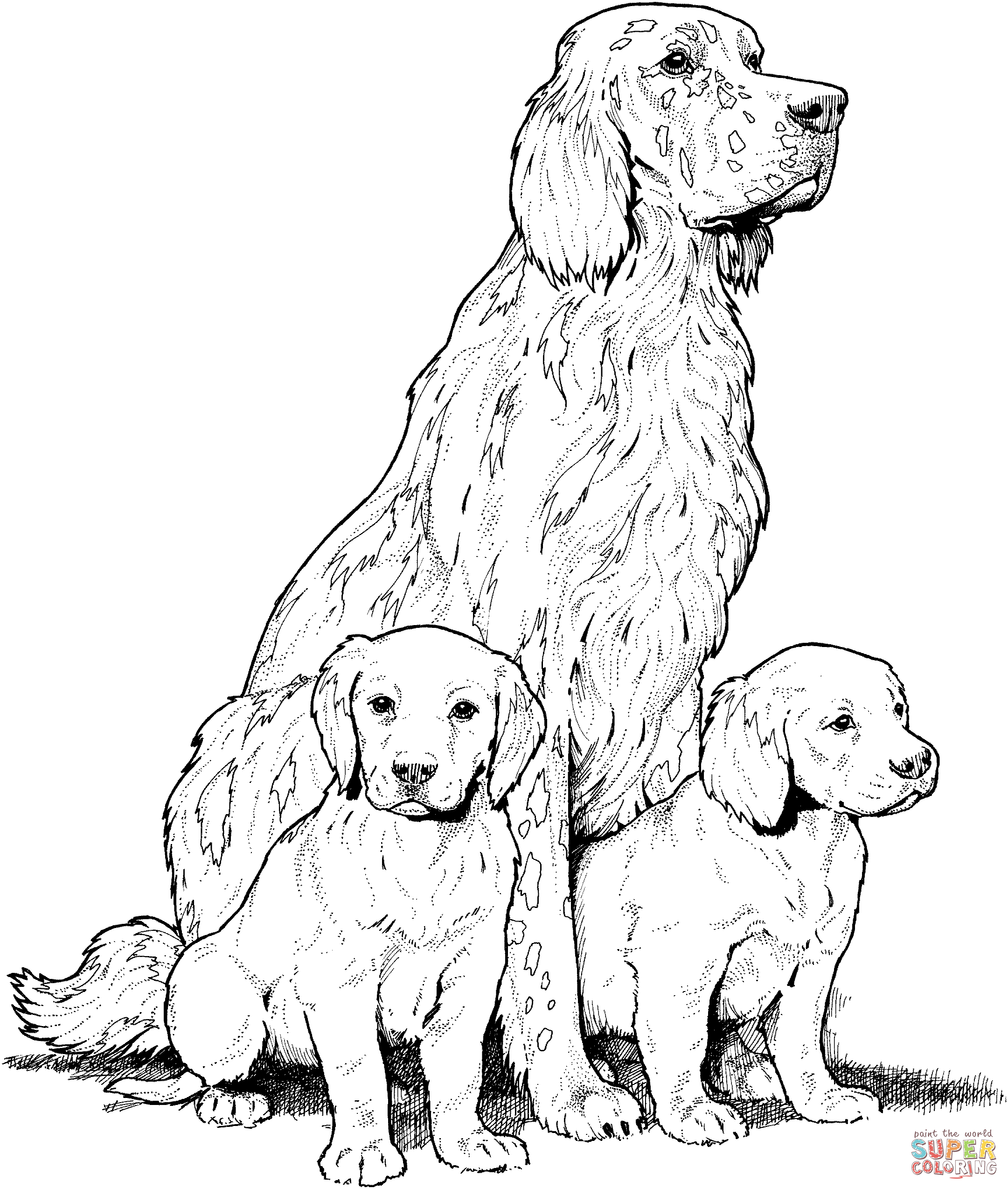 Dachshund With Puppies coloring page | Free Printable Coloring Pages