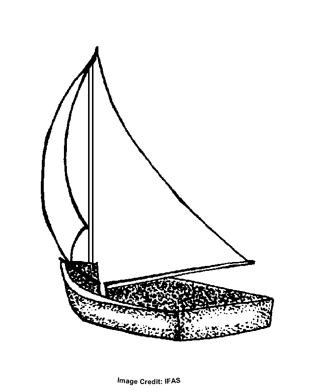 Sailboat - Free Coloring Pages for Kids - Printable Colouring Sheets