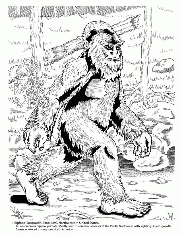 Definition Free Printable Bigfoot Coloring Pages Sketch Coloring ...