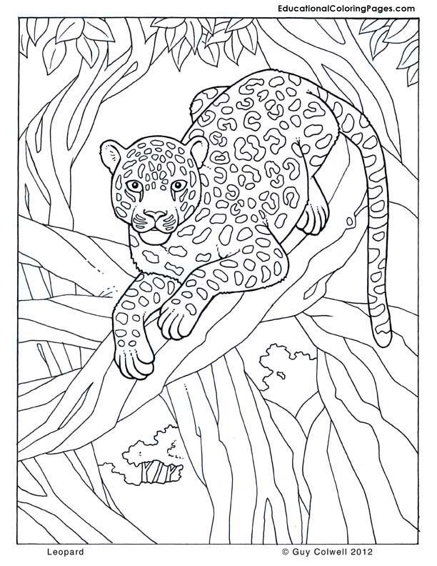 leopard jungle Colouring Pages (page 2) | coloring 3 | Pinterest ...