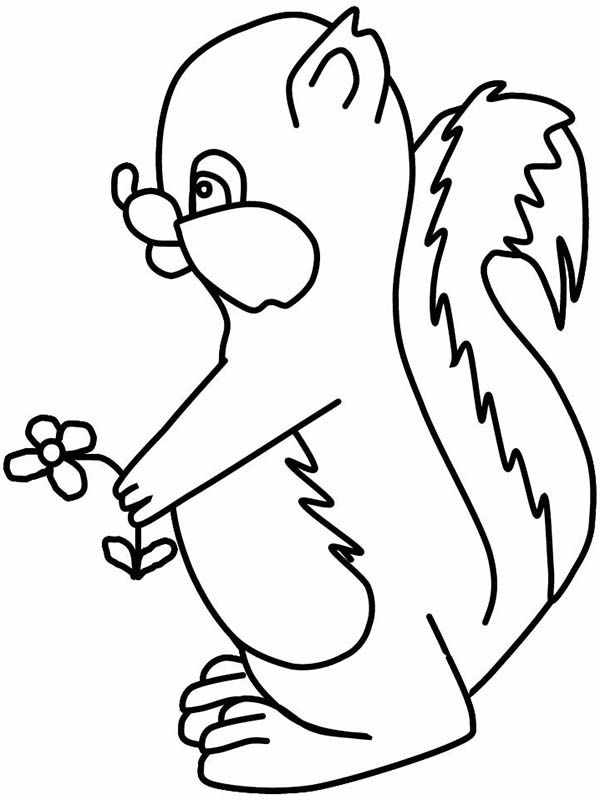 Skunk with Flower Coloring Page: Skunk with Flower Coloring Page ...