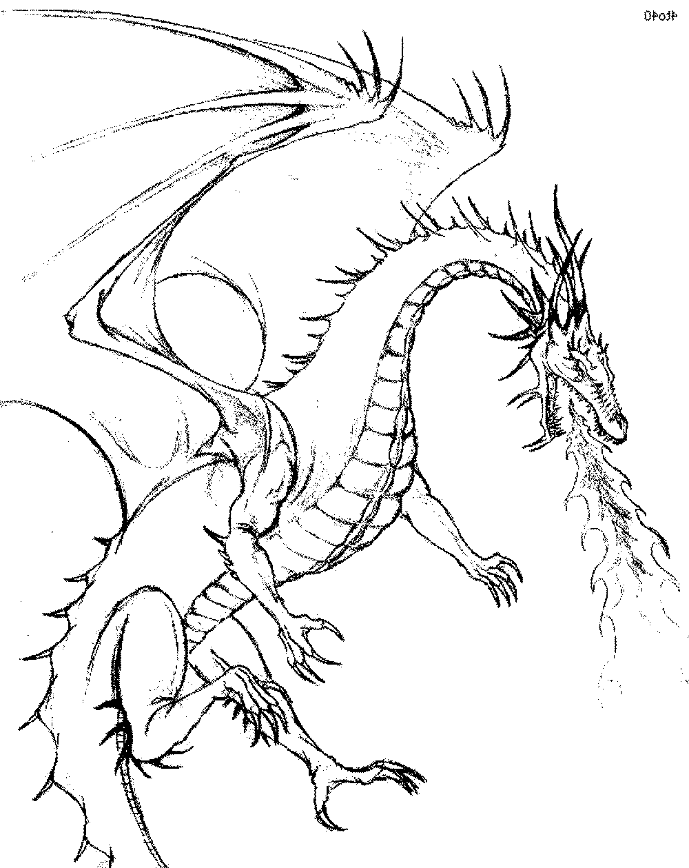 Free PrintableDragon Coloring Pages Coloring Home