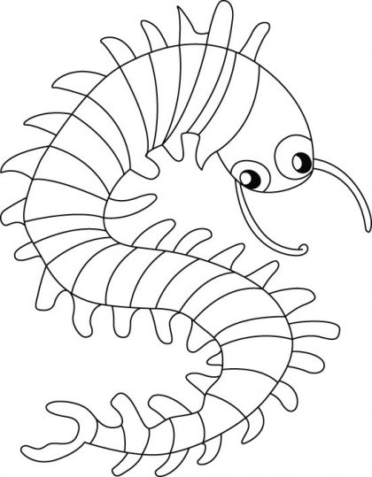 Crawling centipede coloring pages | Download Free Crawling centipede  coloring pages for kids | B… | Coloring book pages, Insect coloring pages,  Shape coloring pages