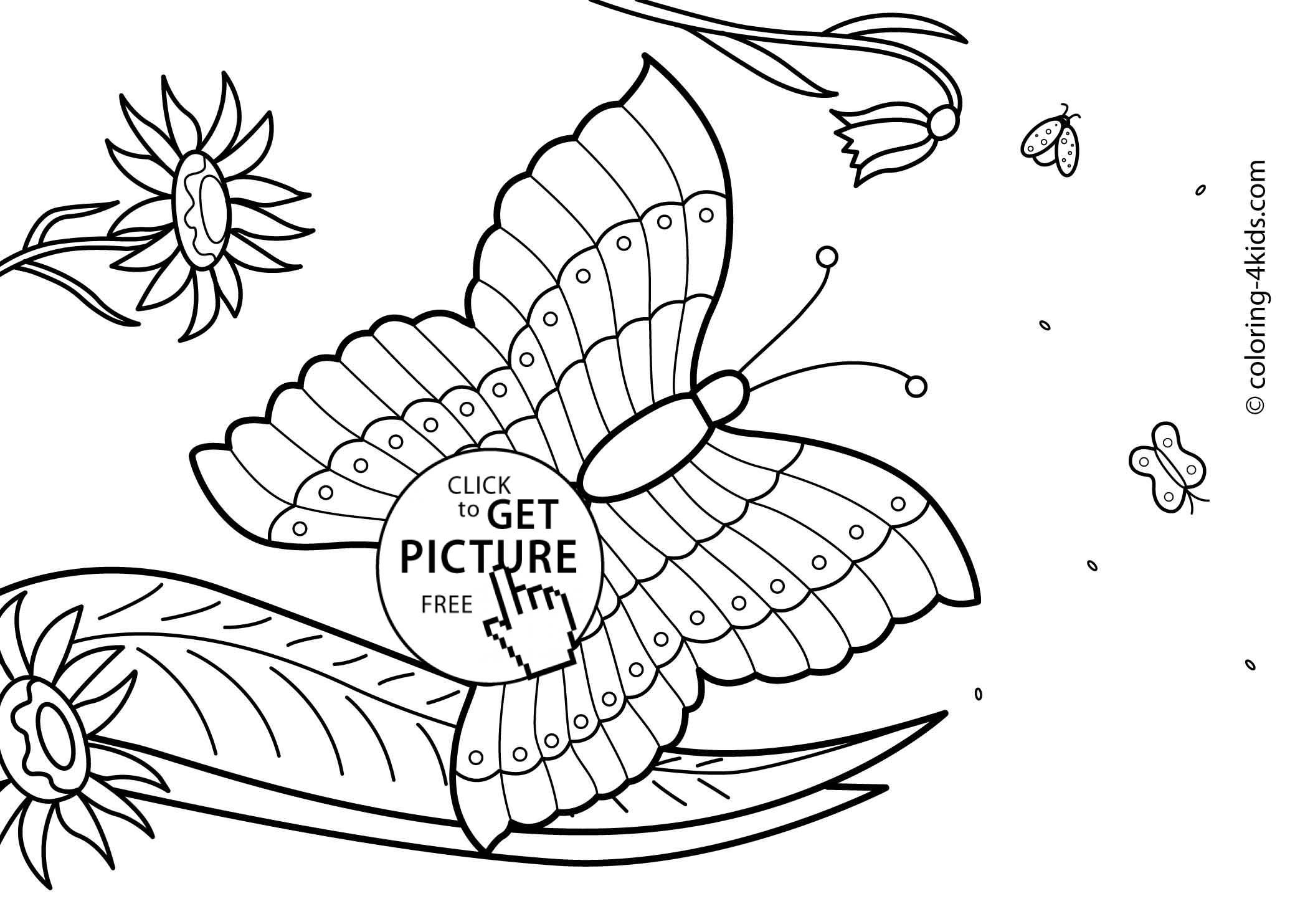 Butterfly Summer coloring pages for kids, free, printable