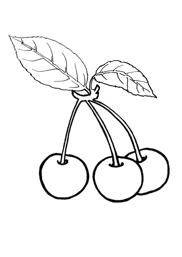 Coloring Pages | Cherries Coloring Page for Kids