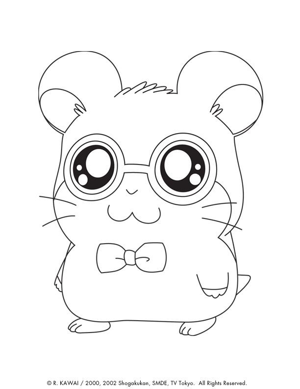 Cute Animal Coloring Pages Hd Cool 7 HD Wallpapers | lzamgs ...