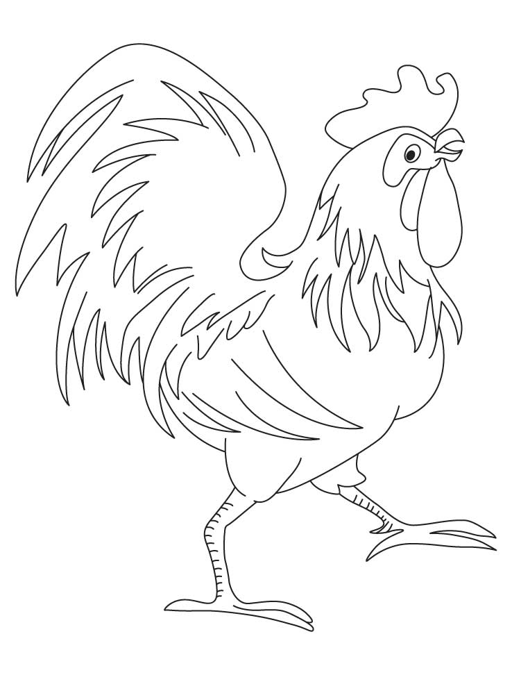 d rooster Colouring Pages (page 3)