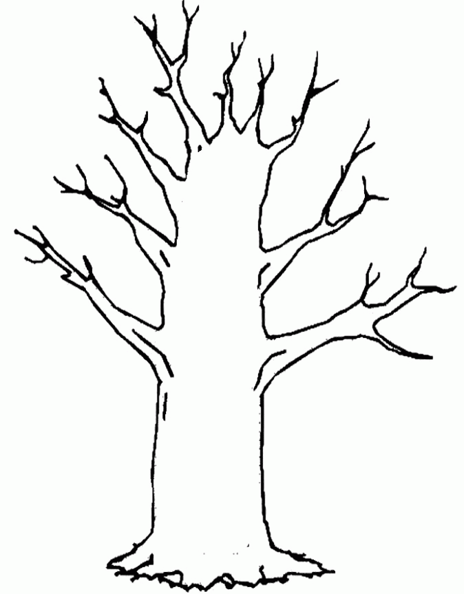 Knowledge Tree Without Leaves Coloring Page Danasrhptop, Acumen ...