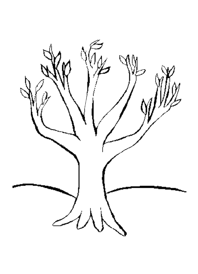 coloring-pages-of-trees-with-leaves | Free Coloring Pages on ...