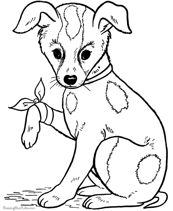 Realistic Puppy Coloring Pages - Coloring Home