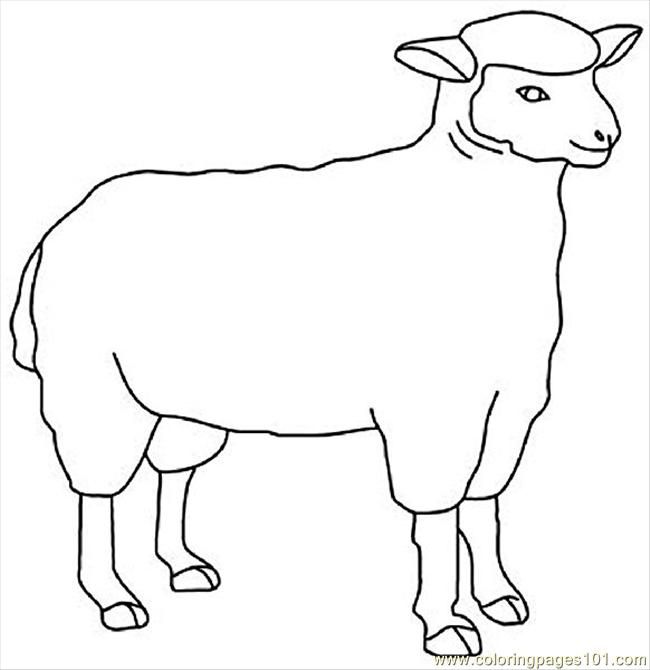 Sheep Outline Coloring Page Coloring Home