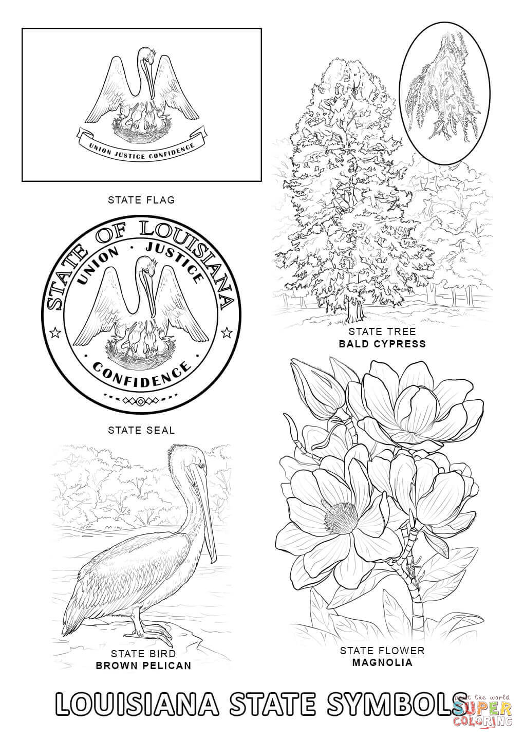 504 Cartoon Louisiana State Symbols Coloring Pages for Kindergarten