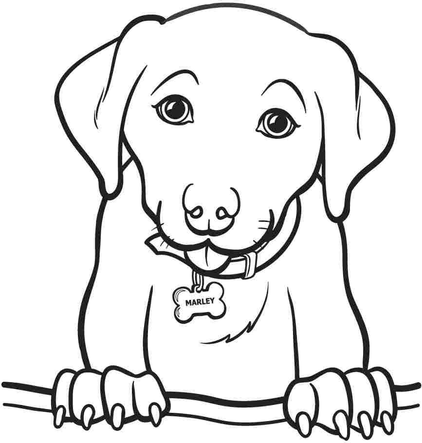 Easy Animal Coloring Books Coloring Pages