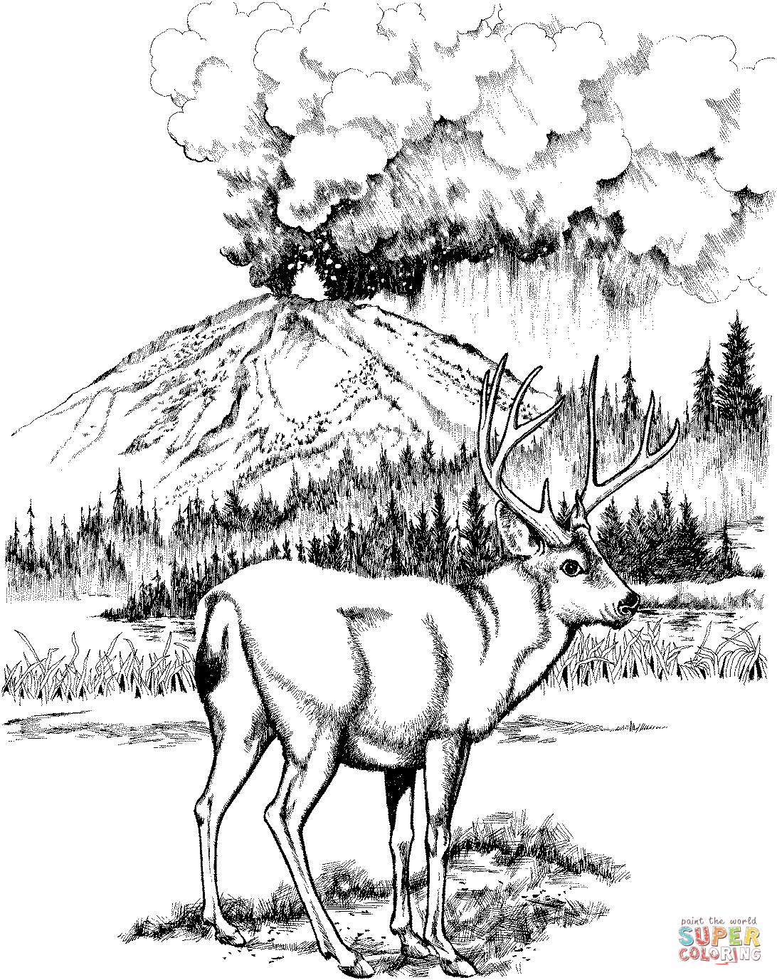 mule-deer-coloring-page-coloring-home