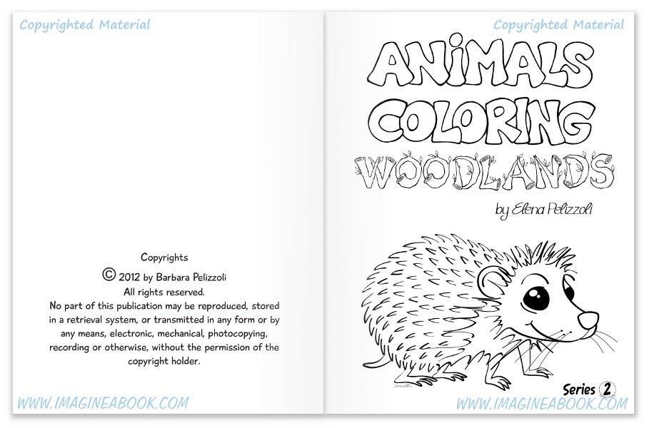 Animals Coloring - Woodlands - Series 2 - IMAGINE A BOOK
