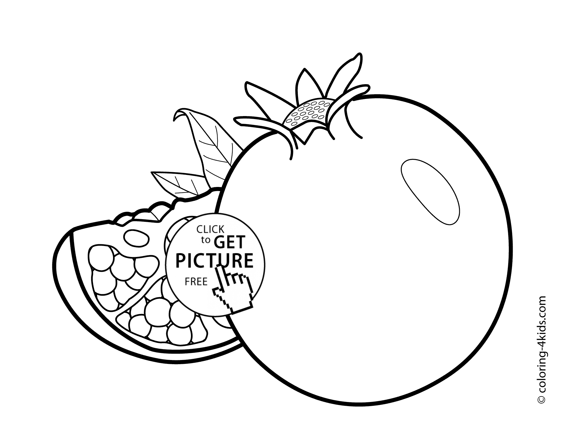 Pomegranate fruits coloring pages for kids, printable free |  coloing-4kids.com