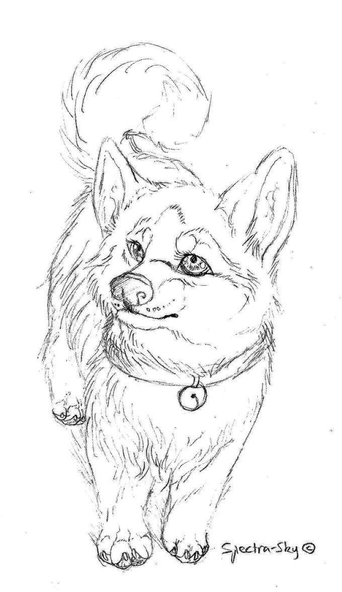 Wolf With Pup Coloring Pages - Coloring Home