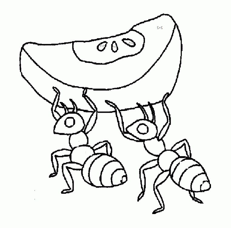 Free Printable Ant Coloring Pages Coloring Home
