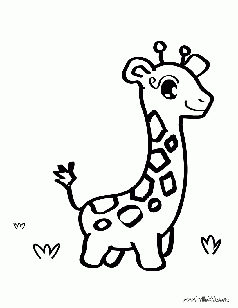 Cute Baby Animal Coloring Coloring Pages for Kids and