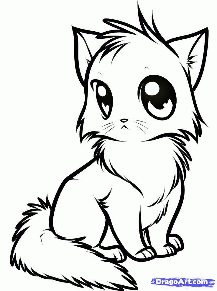 Cat Cute Kitten Coloring Page   Coloring Pages For All ...