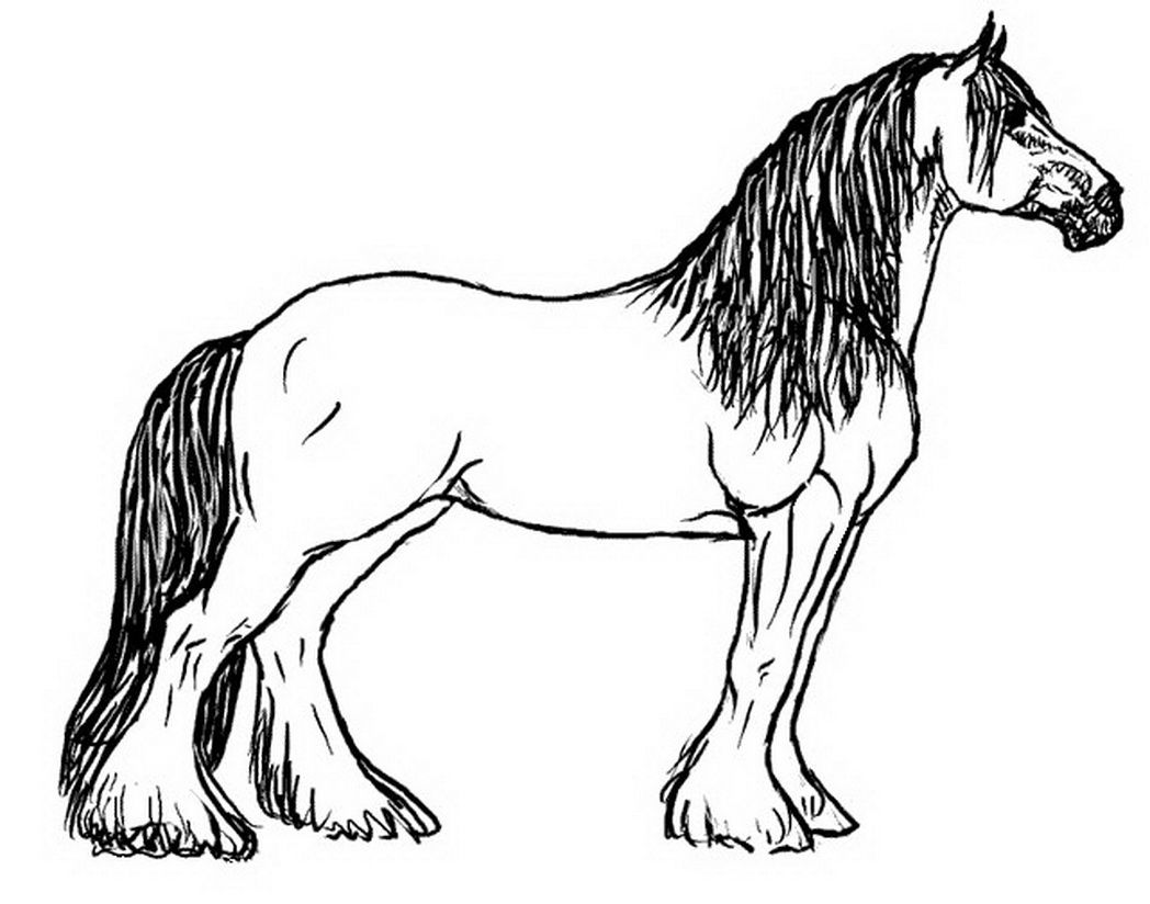 58 Animal Easy Horse Coloring Pages with Animal character