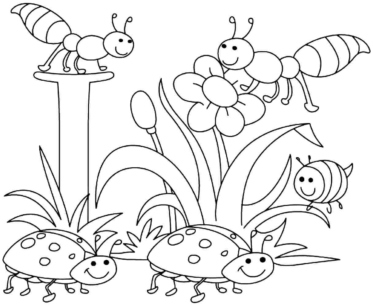 Springtime Pictures Coloring Pages For Adults To Print