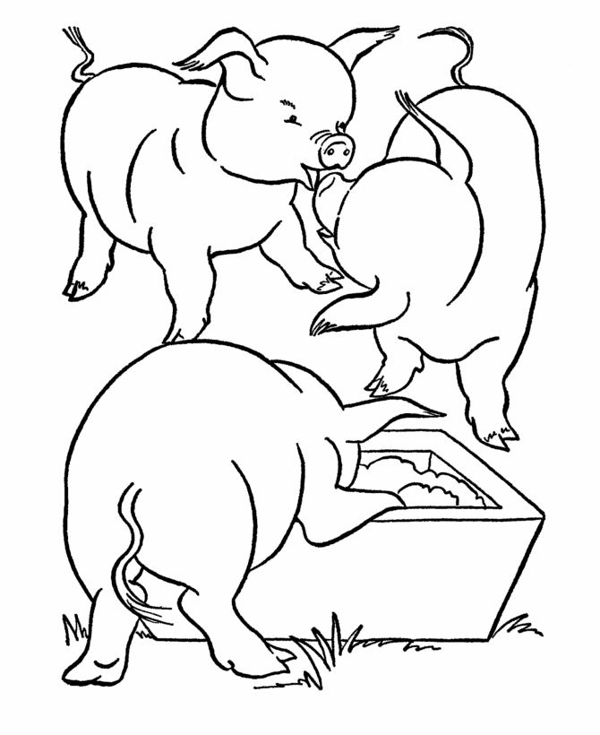 Farm Animal Coloring Pages | Printable Pigs feeding Coloring Page 