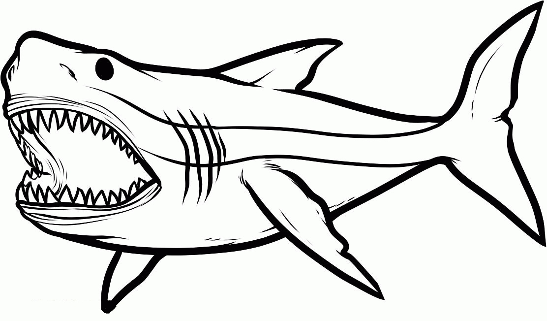 Big Angry Sharks Coloring Pages For Kids eTK Printable Sharks 