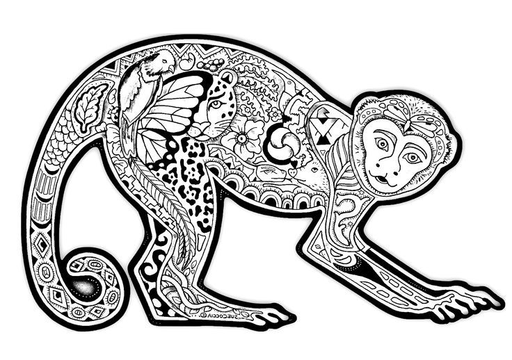 Free Coloring Page Difficult Monkey - Gianfreda.net