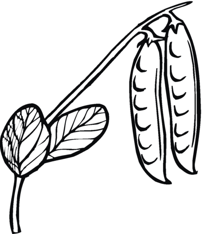 Peas 5 coloring page | Free Printable Coloring Pages
