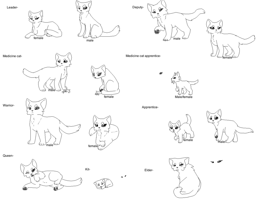 Black Star Warrior Cats Coloring Pages Ages Kits