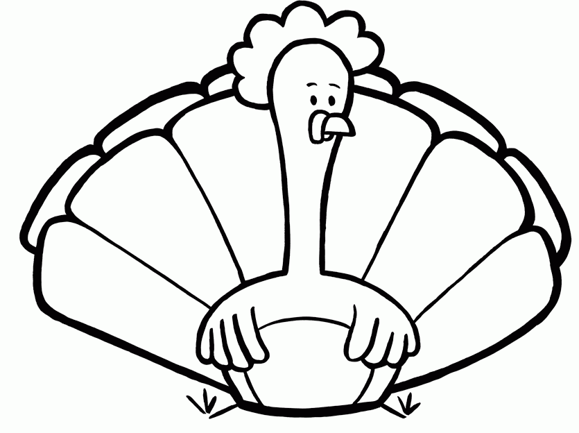 182 Cute Turkey Template Coloring Page with Animal character