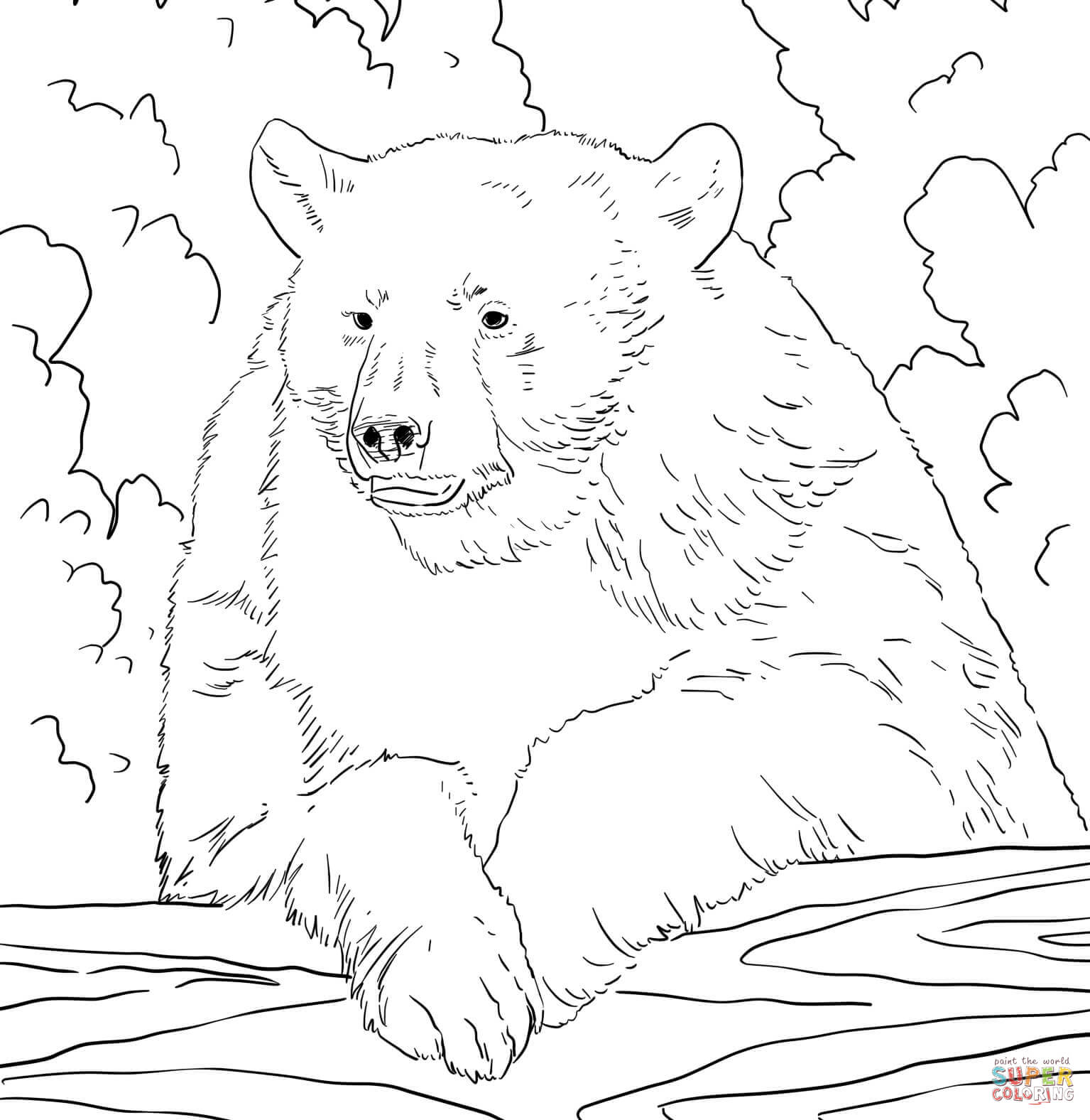 Coloring Pages Of To Bears Coloring Home