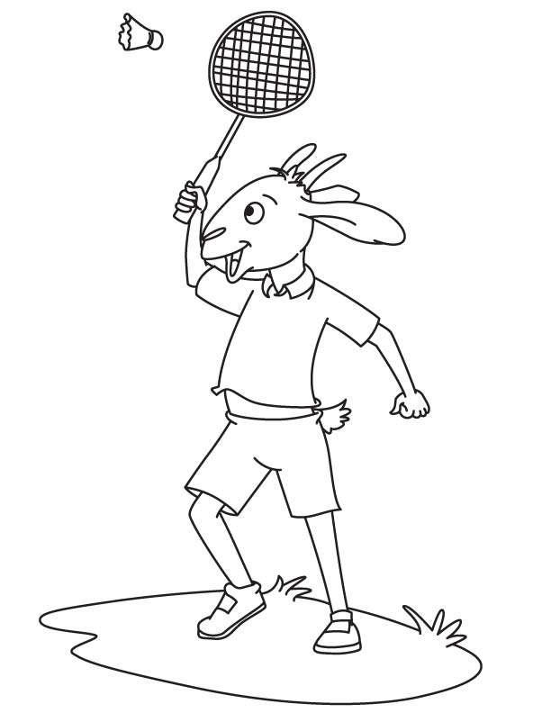Pygmy goat coloring page | Download Free Pygmy goat coloring page ...