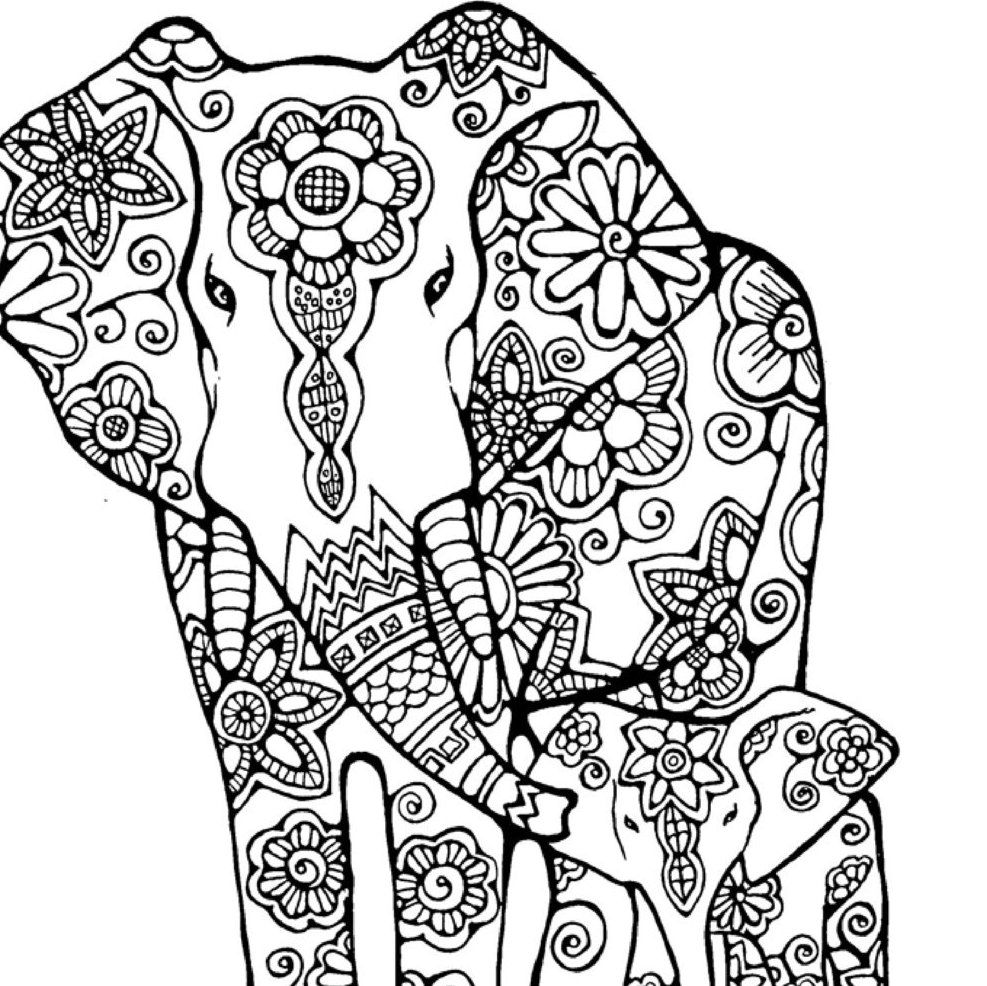 Cute Indian Elephant Coloring Pages Printable for Kindergarten