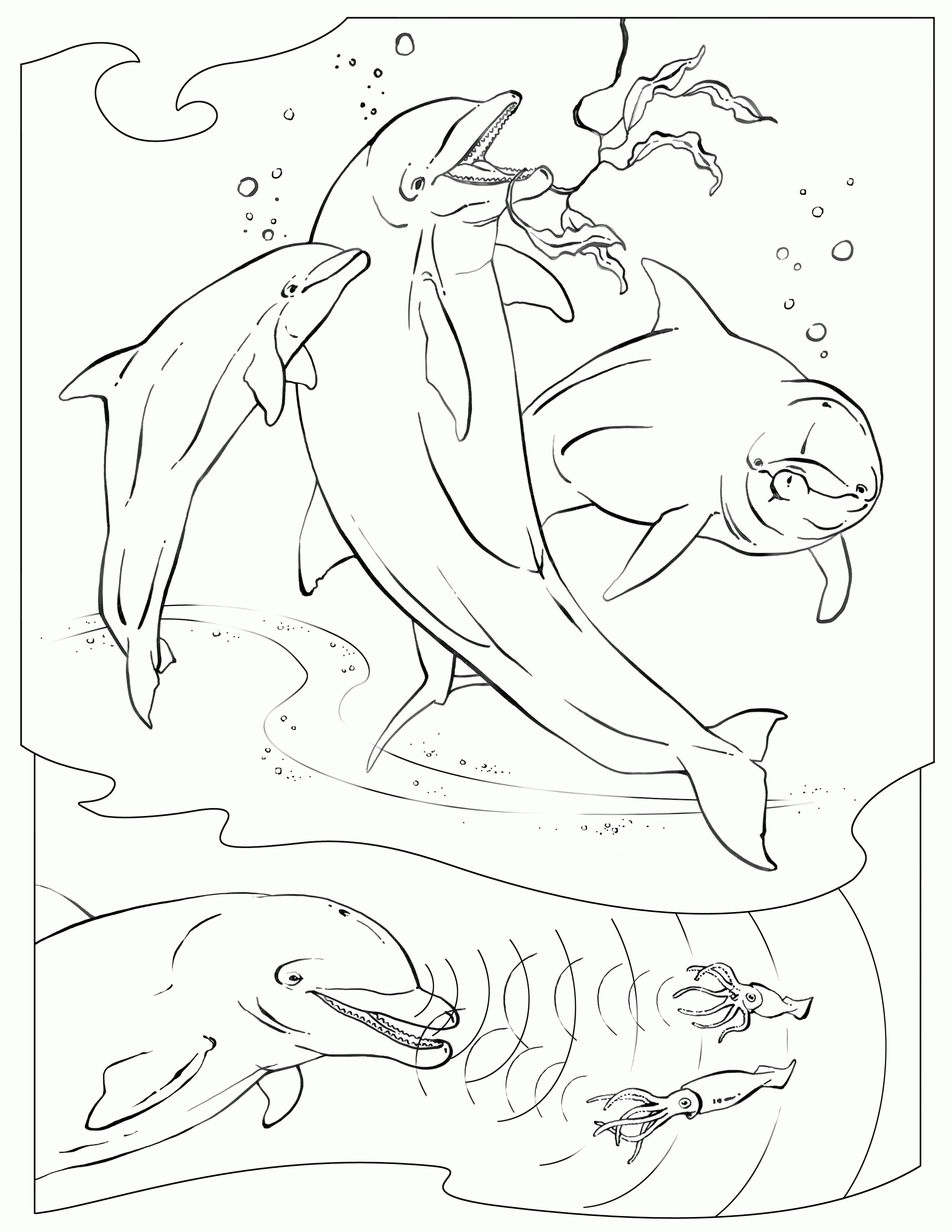 Island Of The Blue Dolphins - Coloring Pages for Kids and for Adults