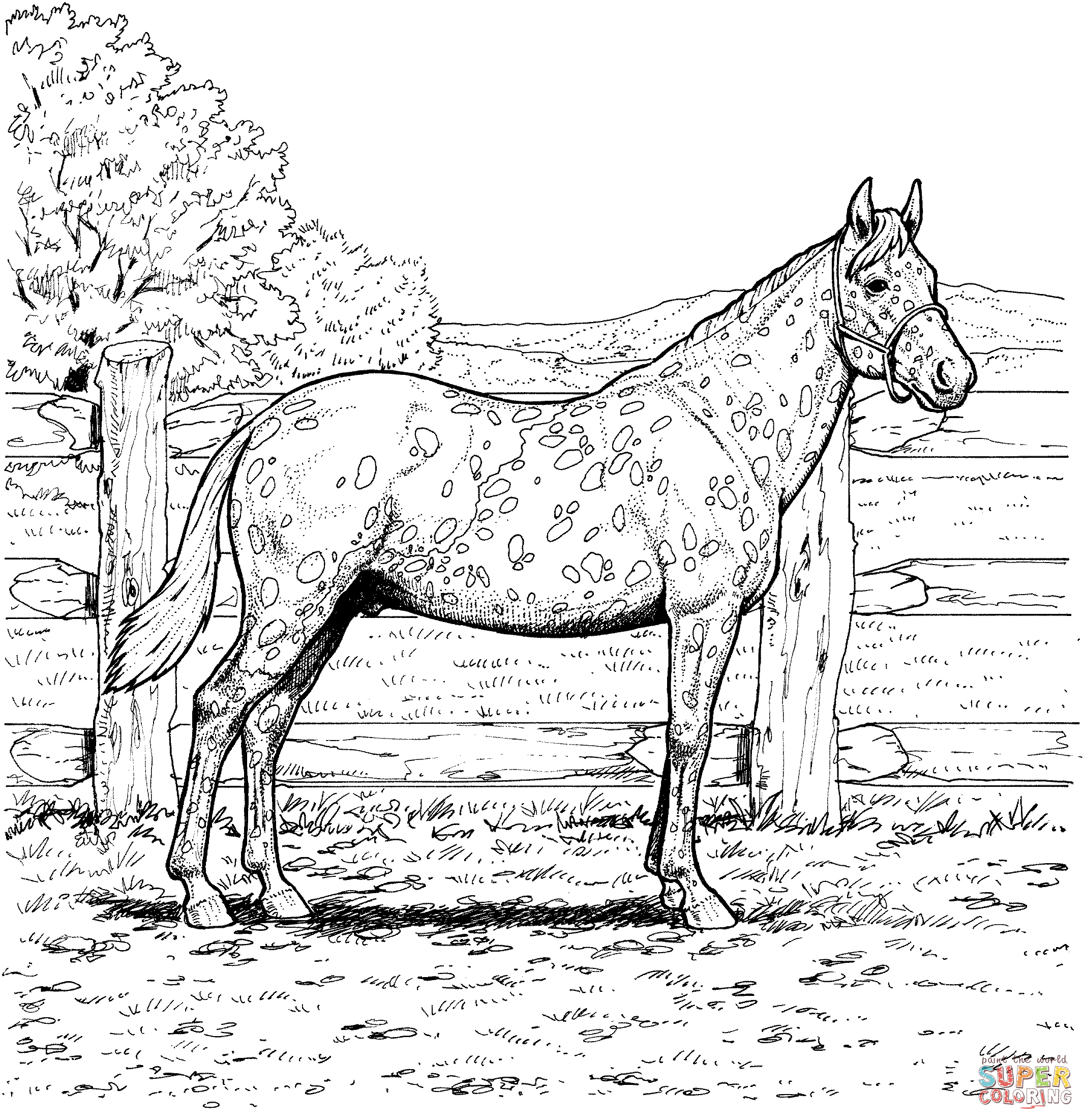 Free Printable Realistic Horse Coloring Pages - Coloring Home