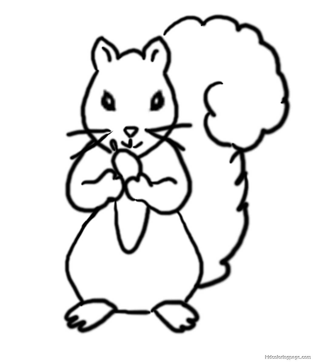 Squirrel Coloring Pages For Preschool | Free Coloring Pages Printable
