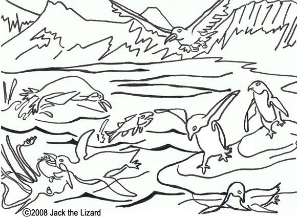 Arctic Coloring Pages. free printable polar bear coloring pages ...