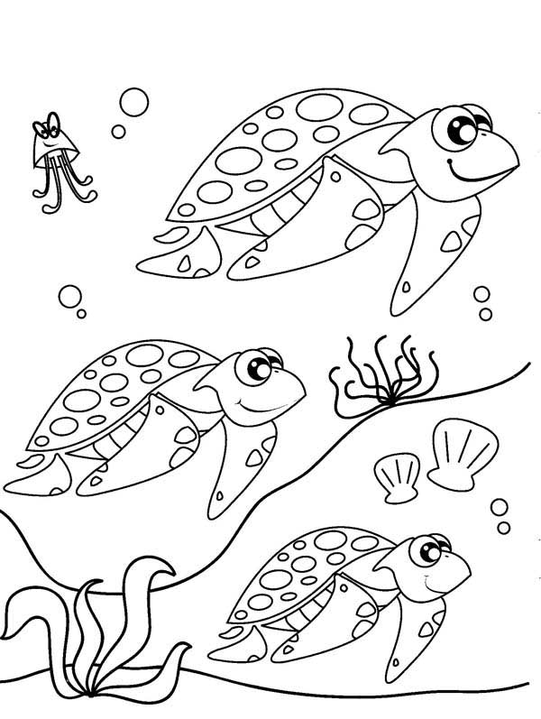 Sea Turtle Coloring Pages Free - Get ...