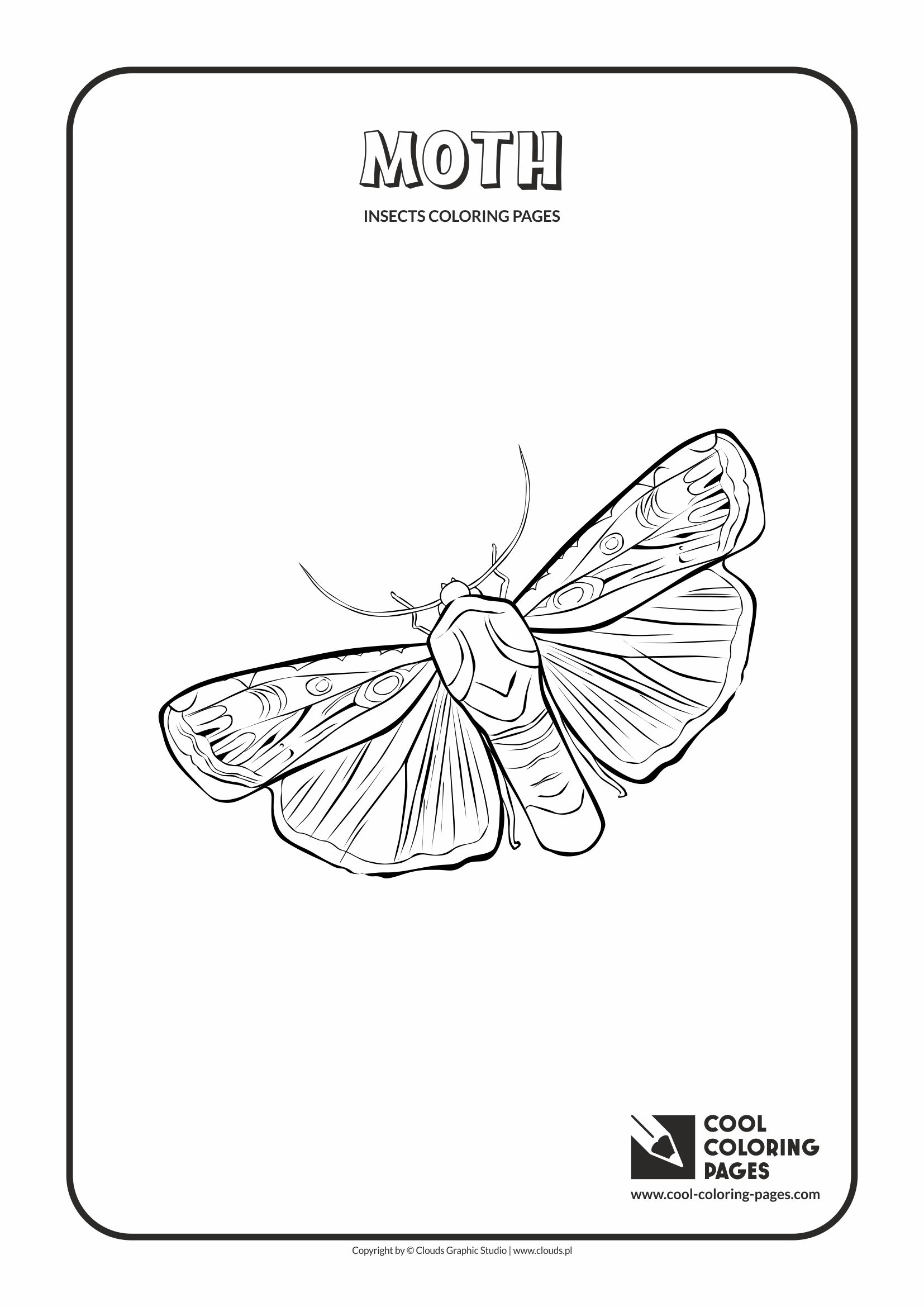 Cool Coloring Pages Moth coloring page - Cool Coloring Pages | Free  educational coloring pages and activities for kids