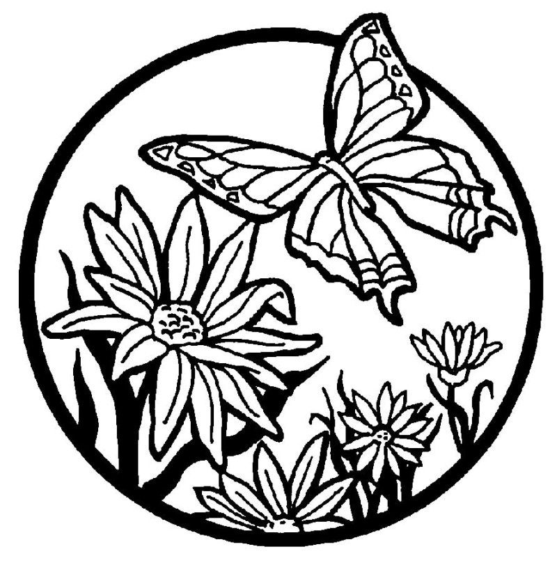 butterfly-with-flowers-coloring-pages: butterfly-with-flowers ...