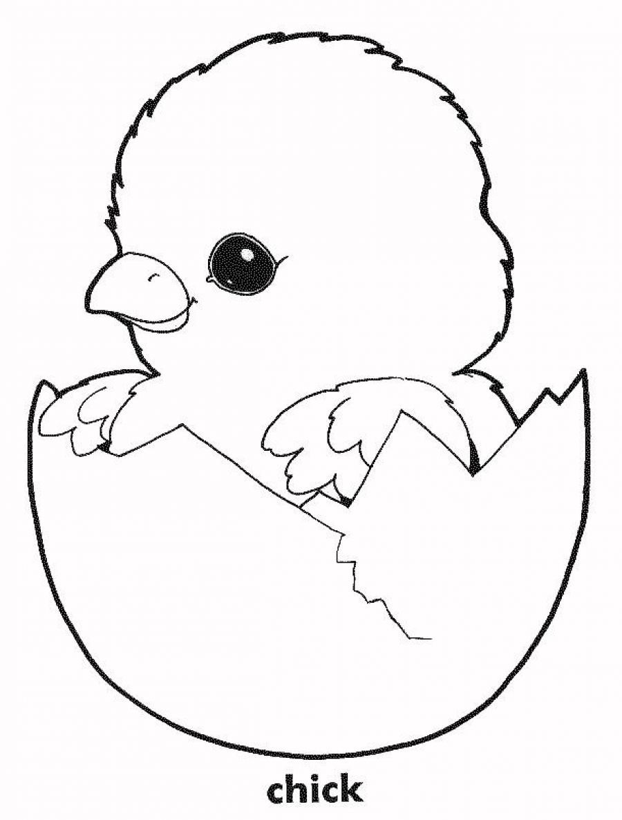 printable-chicken-coloring-pages-coloring-home