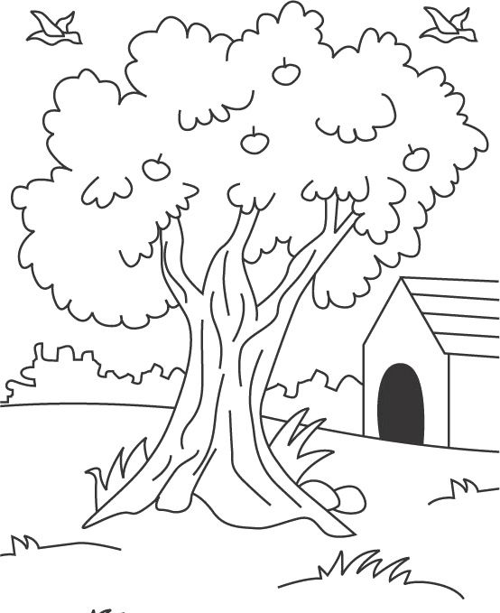 Free Coloring Pages Apple Tree Home Preschool