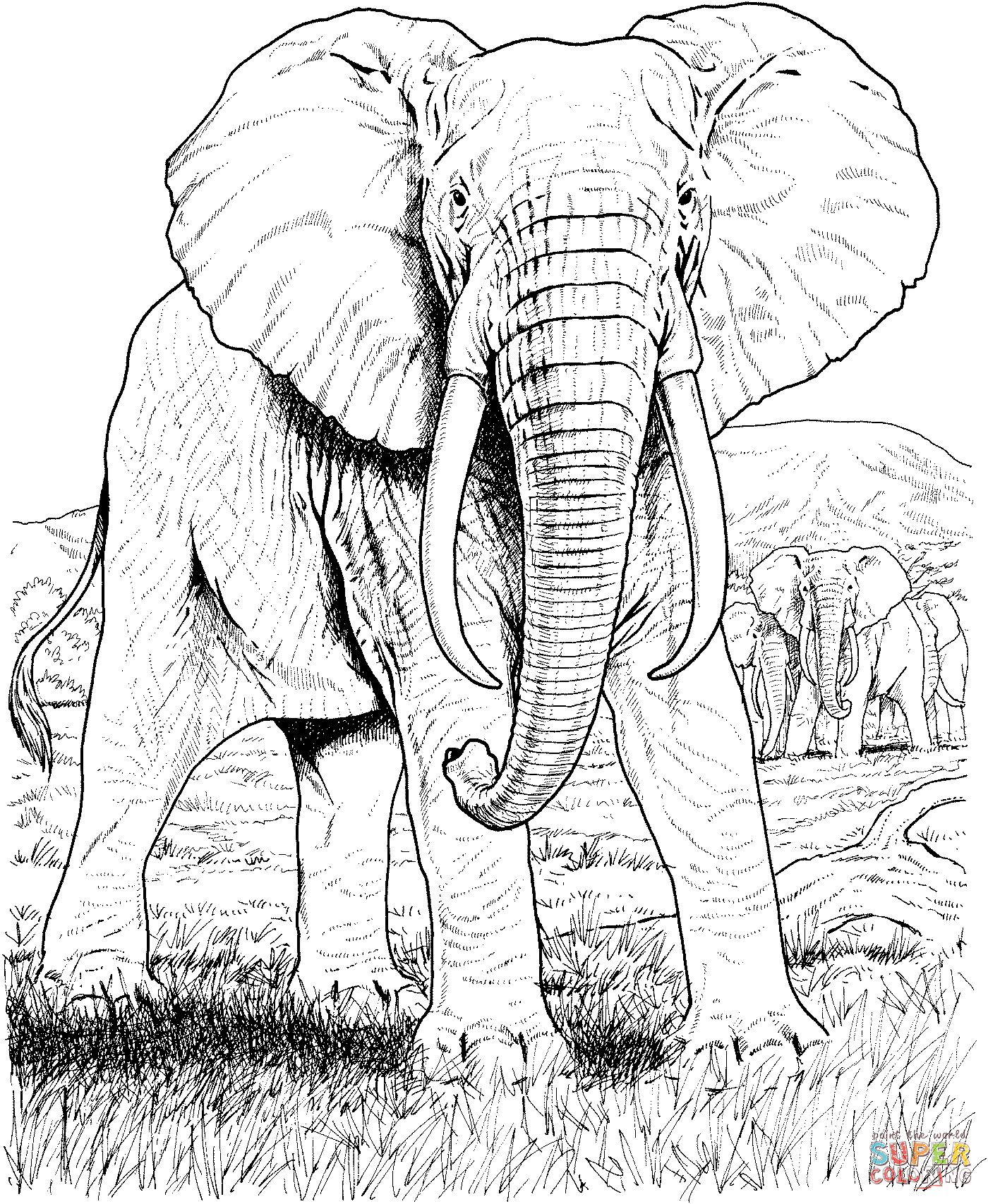 Adult Coloring Pages Safari - Coloring Home