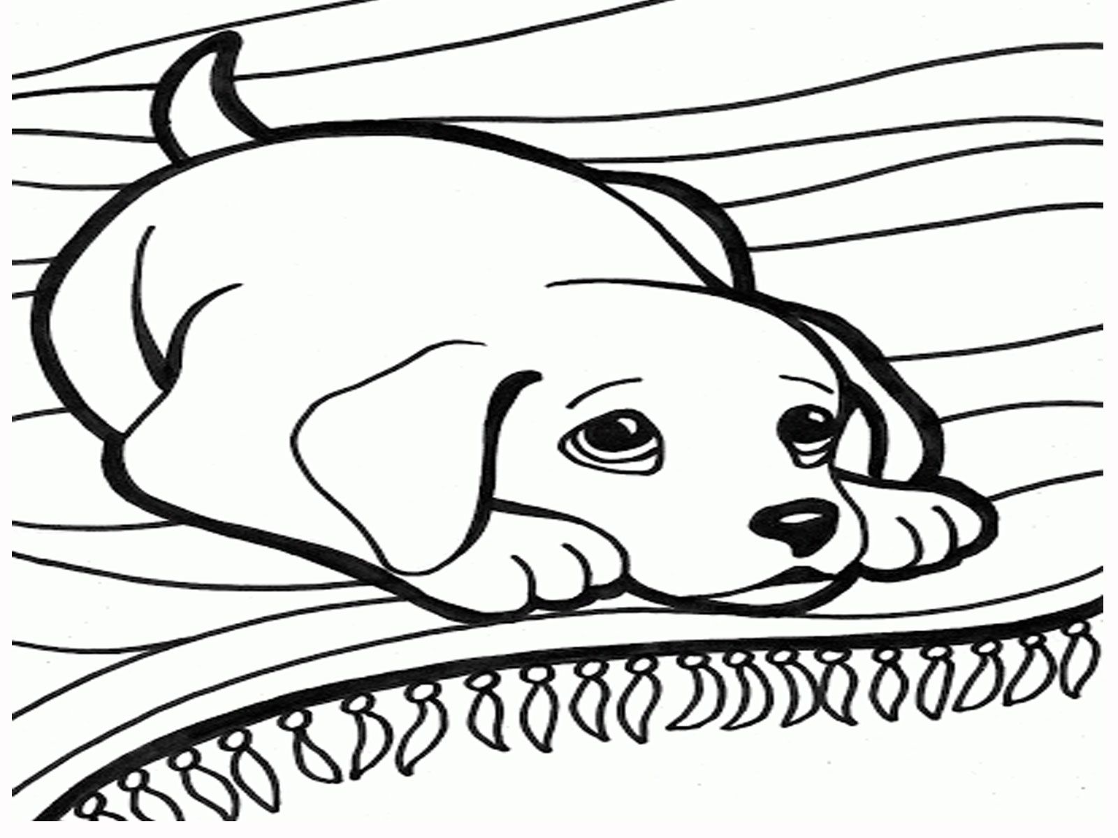 Easy Dog Coloring Pages Girls Dogs