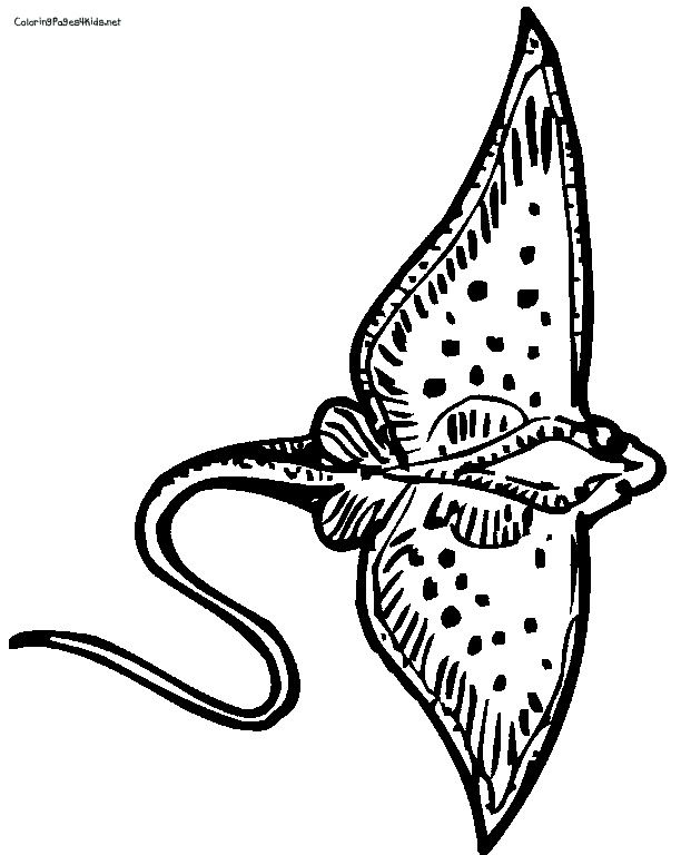 Stingray | Free Coloring Pages on Masivy World