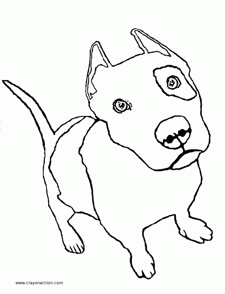 pit bull coloring pages - High Quality Coloring Pages