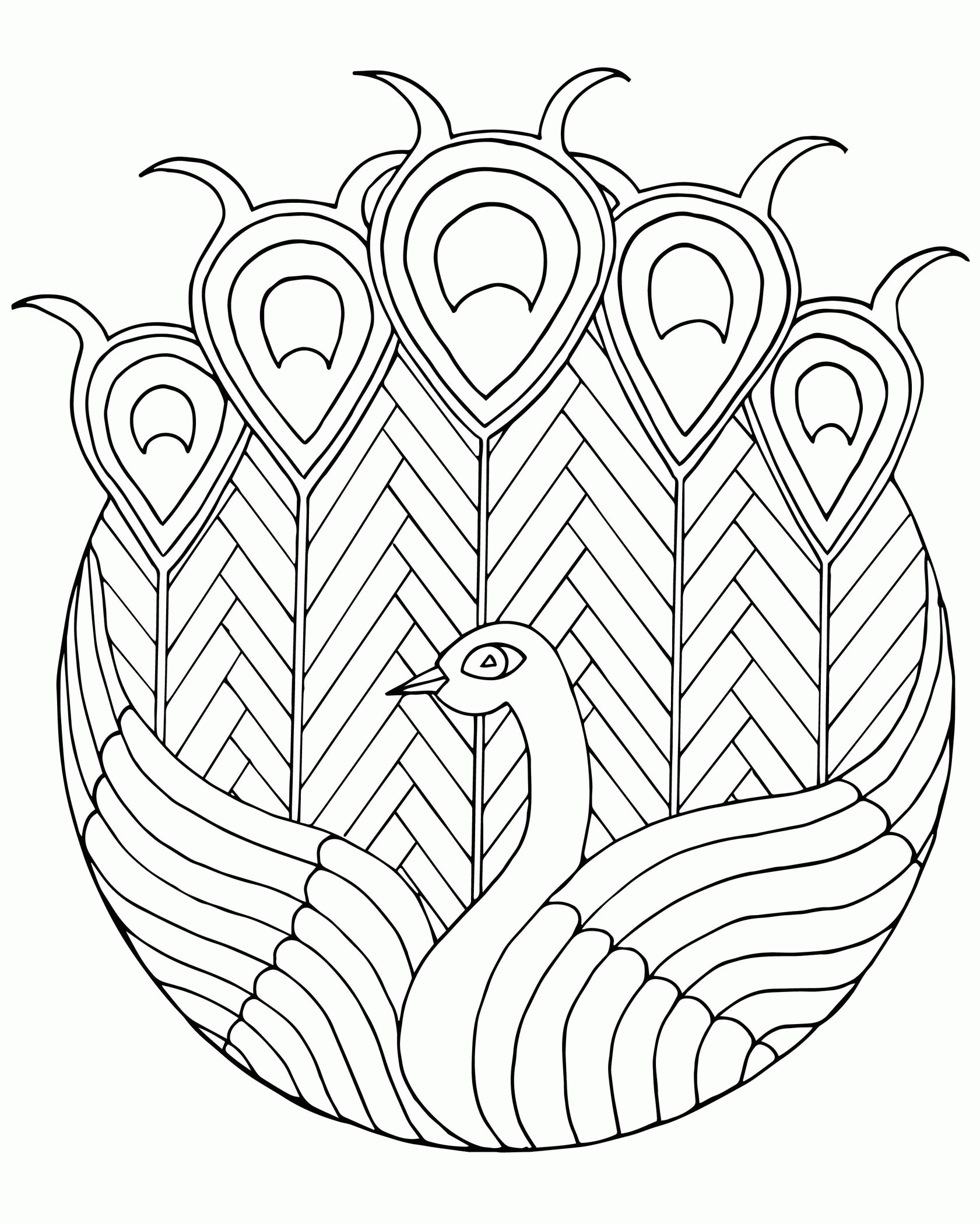 peacock-coloring-pages-for-adults-coloring-home